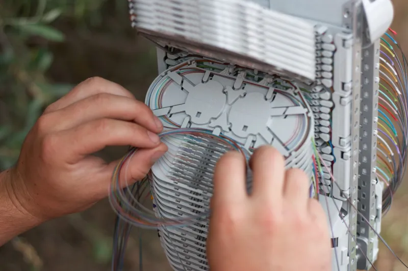 Photo lovage casette